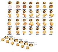 Тестоотсадочная машина в напольном исполнении МТК-100А/2